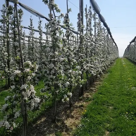 Pilgerhof Keller Apartmán